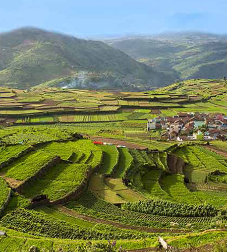 Agri-tech